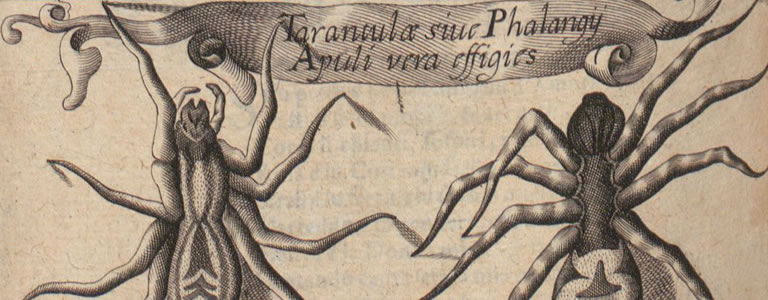 Athanasius Kircher: Magnes, sive de arte magnetica opus tripartitum (Coloniae Agrippinae, 1643)