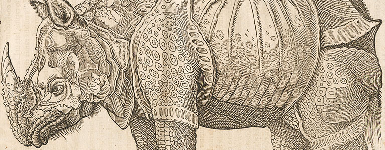 On the animal kingdom’s tail: Gessner’s composite sketches