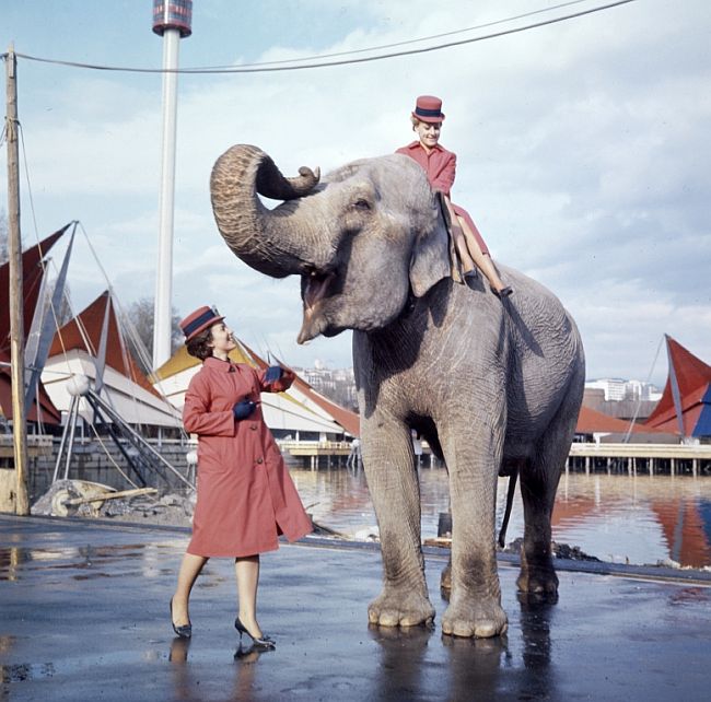 Expo-Hostessen mit Elefant des Zirkus Knie