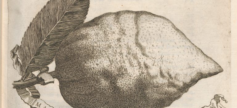 Scherzende Hesperidien: Barocke Darstellungen von Zitrusfrüchten